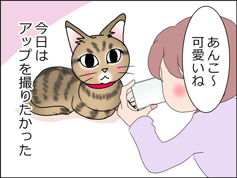 あんこ&麦STORY1507a