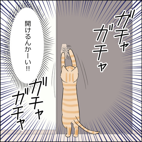 あんこ＆麦STORY2171c