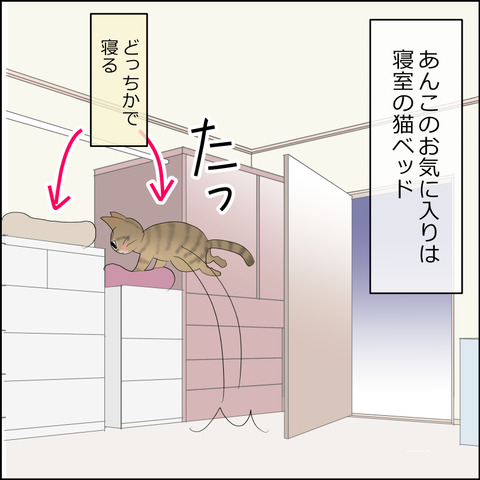 あんこ&麦STORY2359a