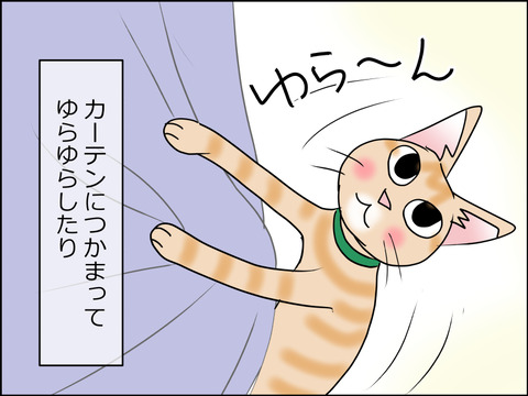 あんこ&麦STORY1484c