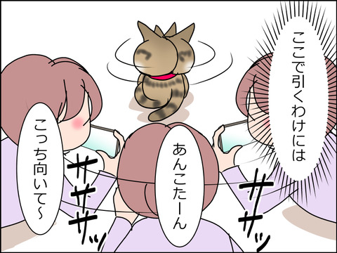 あんこ＆麦STORY1507c