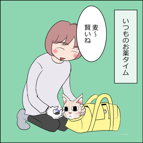 あんこ&麦STORY2360a