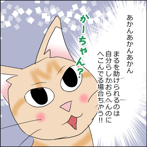 あんこ＆麦kenko155c