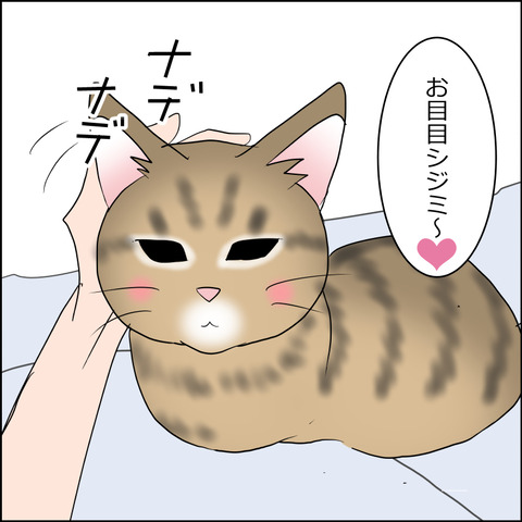 あんこ&麦STORY2483c
