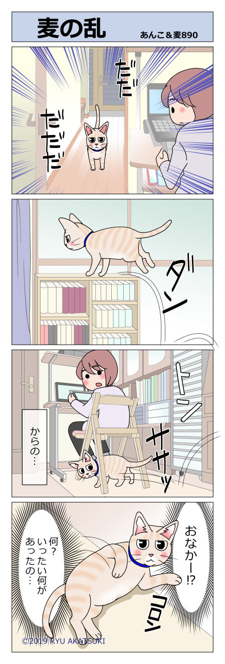 あんこ&麦STORY890