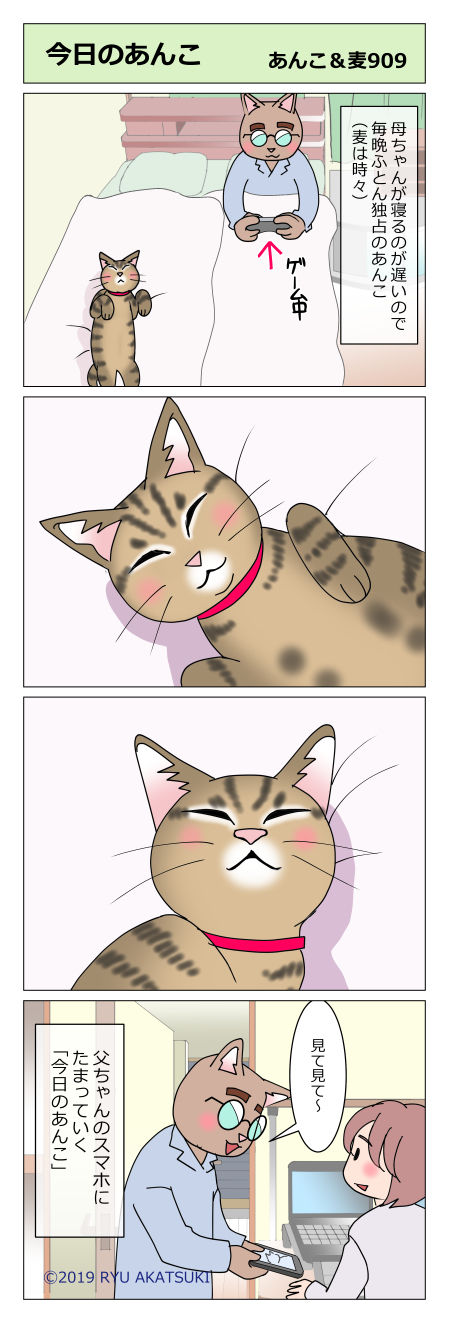 あんこ&麦STORY909