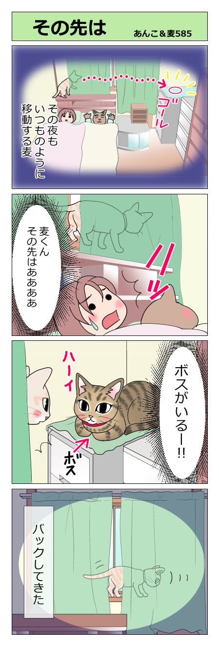 あんこ&麦STORY585