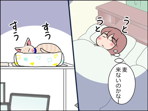 あんこ＆麦STORY1591b