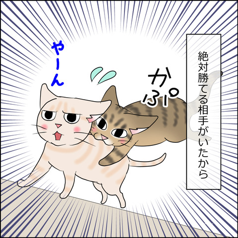 あんこ＆麦STORY2424d