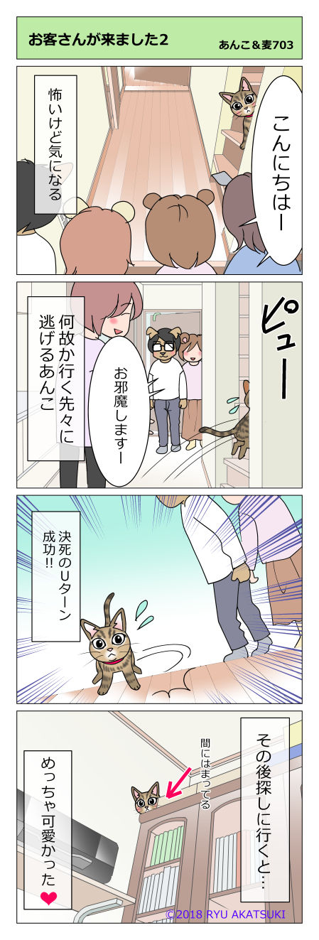 あんこ&麦STORY703
