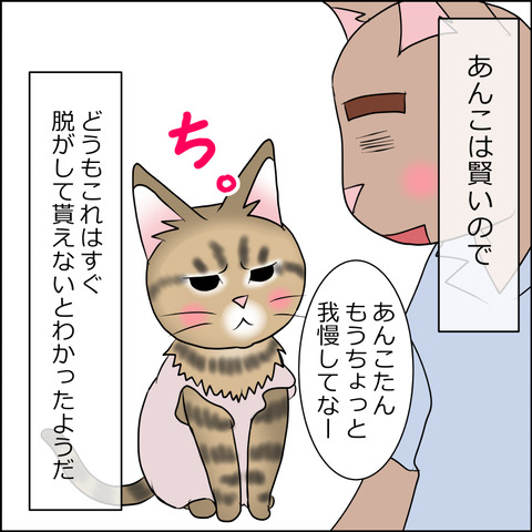 あんこ＆麦STORY1678b