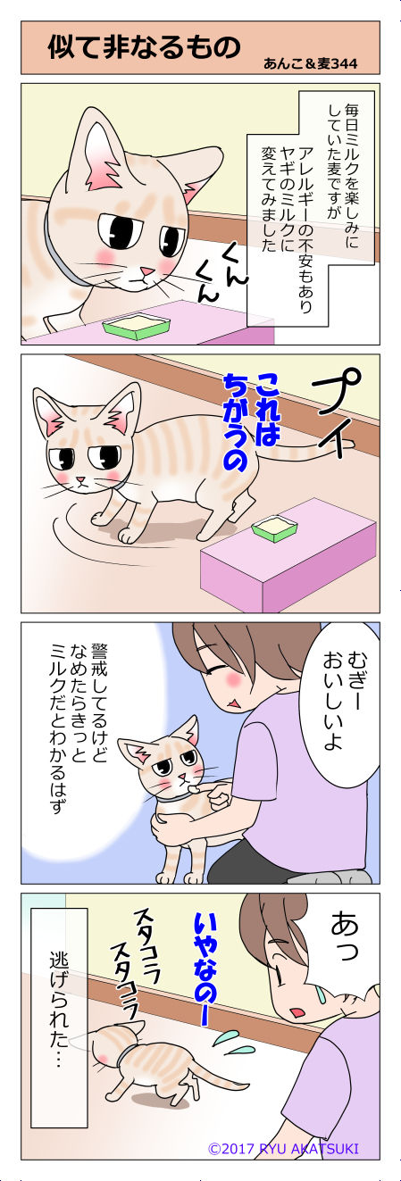 あんこ＆麦STORY344