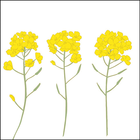 あんこ&麦sozai002