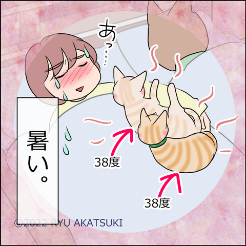 あんこ&麦STORY1705d