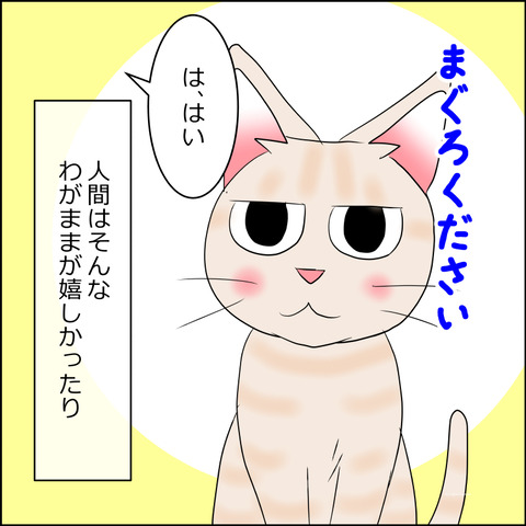 nekokita252d