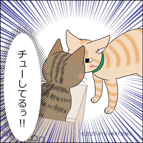 あんこ&麦STORY1882d