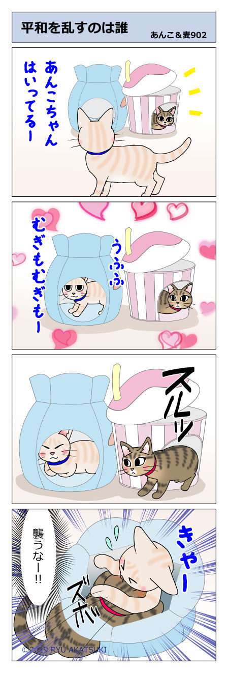 あんこ&麦STORY902