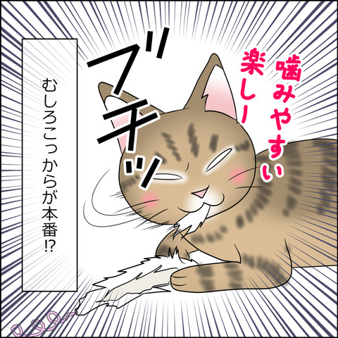 あんこ＆麦STORY1955d