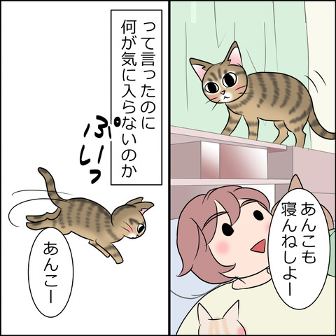 あんこ＆麦STORY1919b