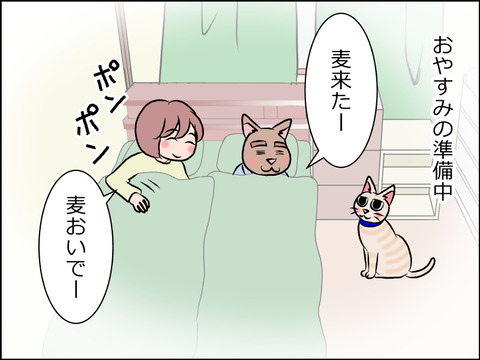 あんこ&麦STORY1571a