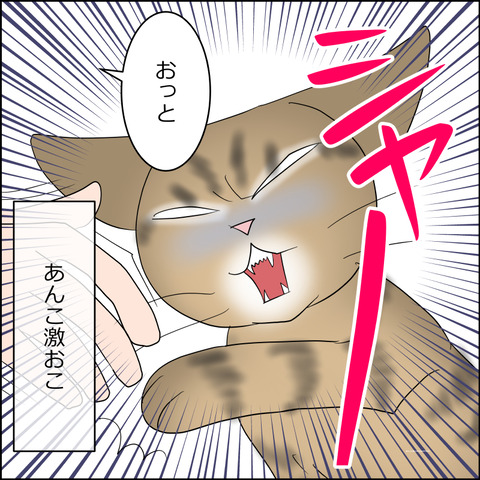 あんこ＆麦STORY2212d