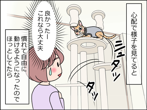 あんこ&麦kenko36b