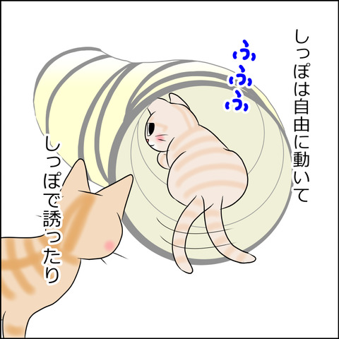 あんこ＆麦STORY1767b