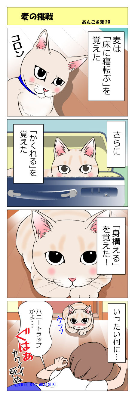 あんこ&麦STORY19