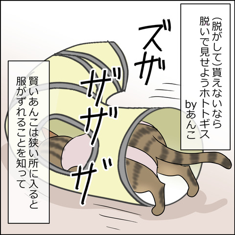 あんこ&麦STORY1678c