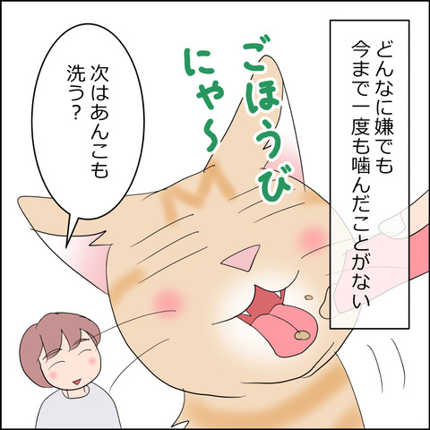 あんこ＆麦STORY2324c