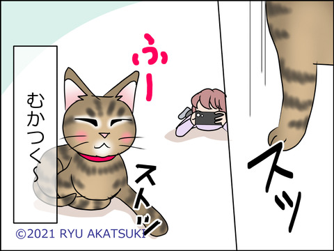 あんこ&麦STORY1507d