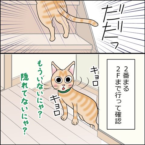 あんこ＆麦STORY2052c