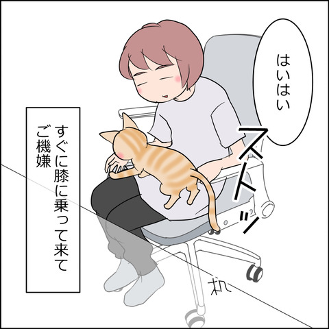 あんこ&麦STORY2477b