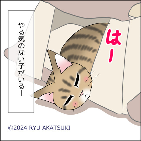 あんこ＆麦STORY2067d