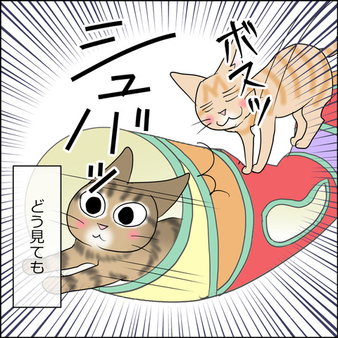 あんこ＆麦STORY2429c