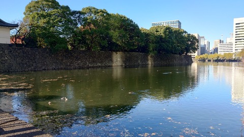 20241207_142542_Original