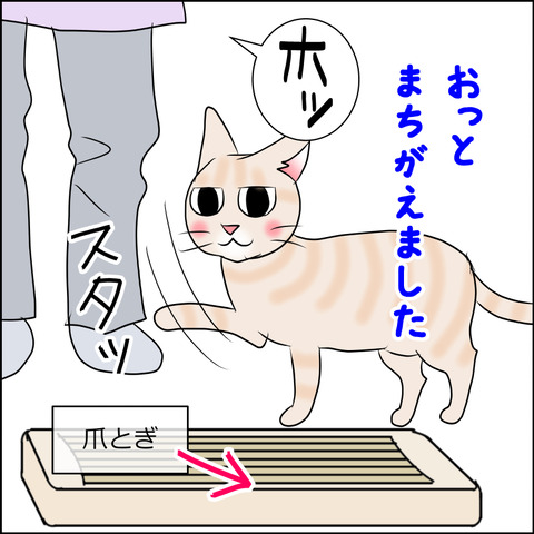 あんこ&麦STORY1706c