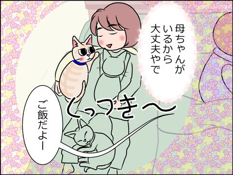 あんこ&麦STORY1529c
