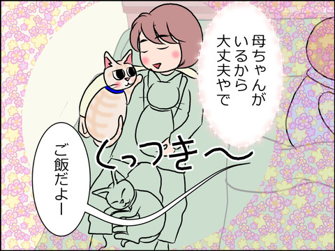 あんこ＆麦STORY1529c