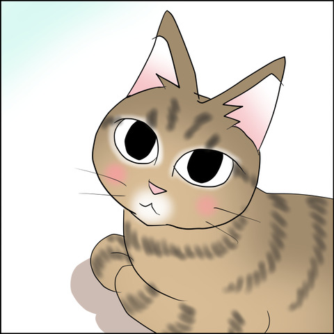 あんこ＆麦STORY2128g