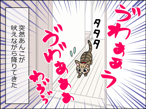 あんこ&麦STORY1488a