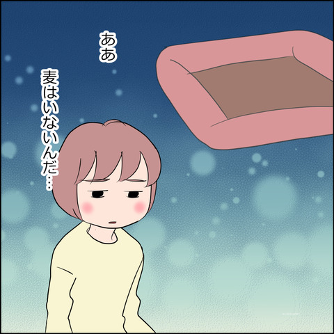 mugitabi001d