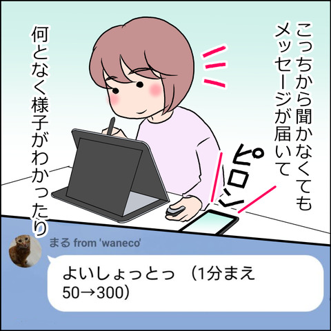 waneko001e