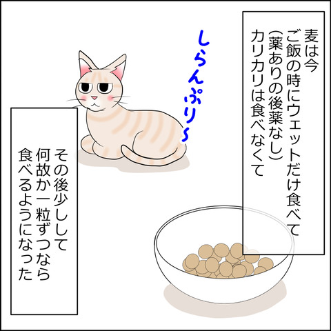 あんこ＆麦STORY2183a