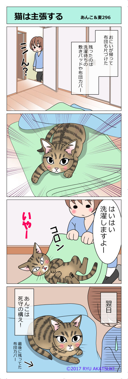 あんこ&麦STORY296