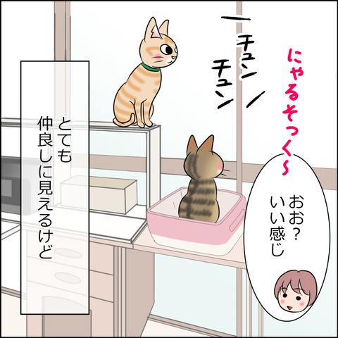 あんこ＆麦STORY1985b