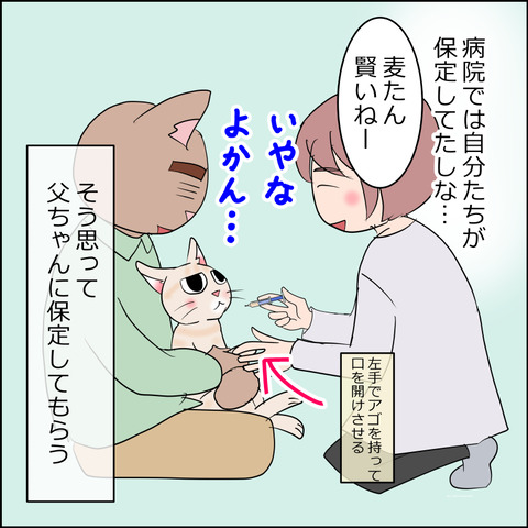 あんこ＆麦kenko117c