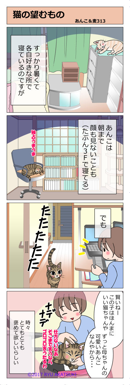 あんこ＆麦STORY313