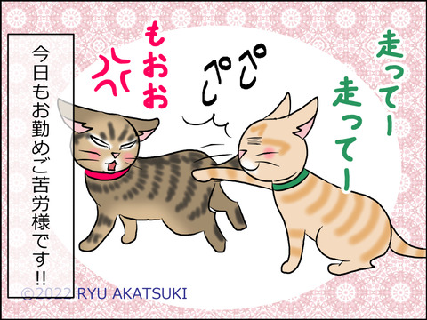 あんこ&麦STORY1550d