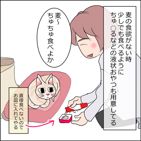 あんこ＆麦STORY2393a
